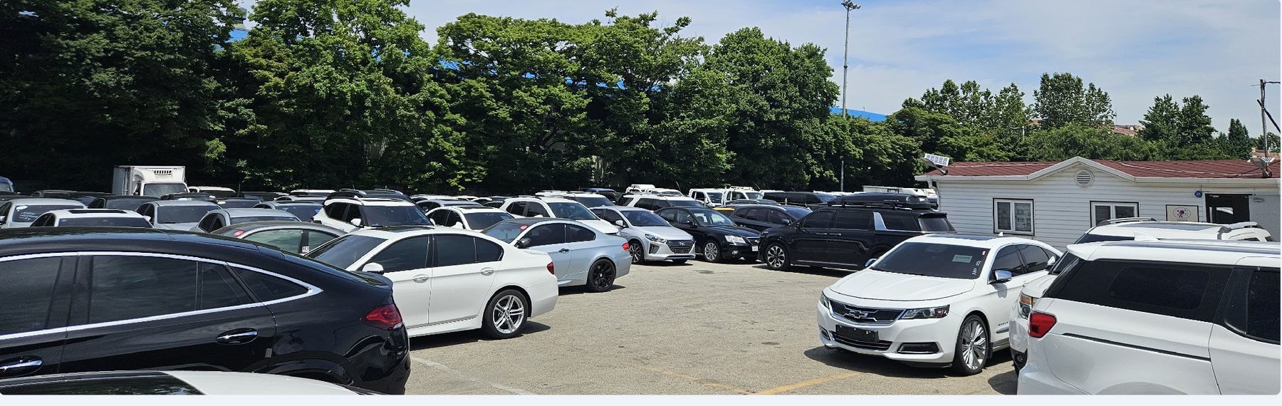 A yard full of vehicles ready for export